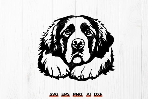 Saint Bernard Dog Resting SVG - Pet DXF